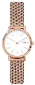 Женские наручные часы Skagen SKW2694