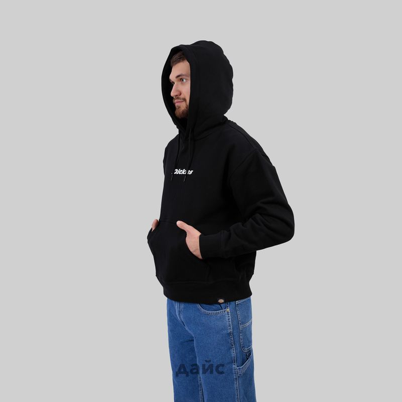 Толстовка мужская Dickies Enterprise Hoodie артикул:DK0A4Z2NBLK1 - купить в магазине Дайс