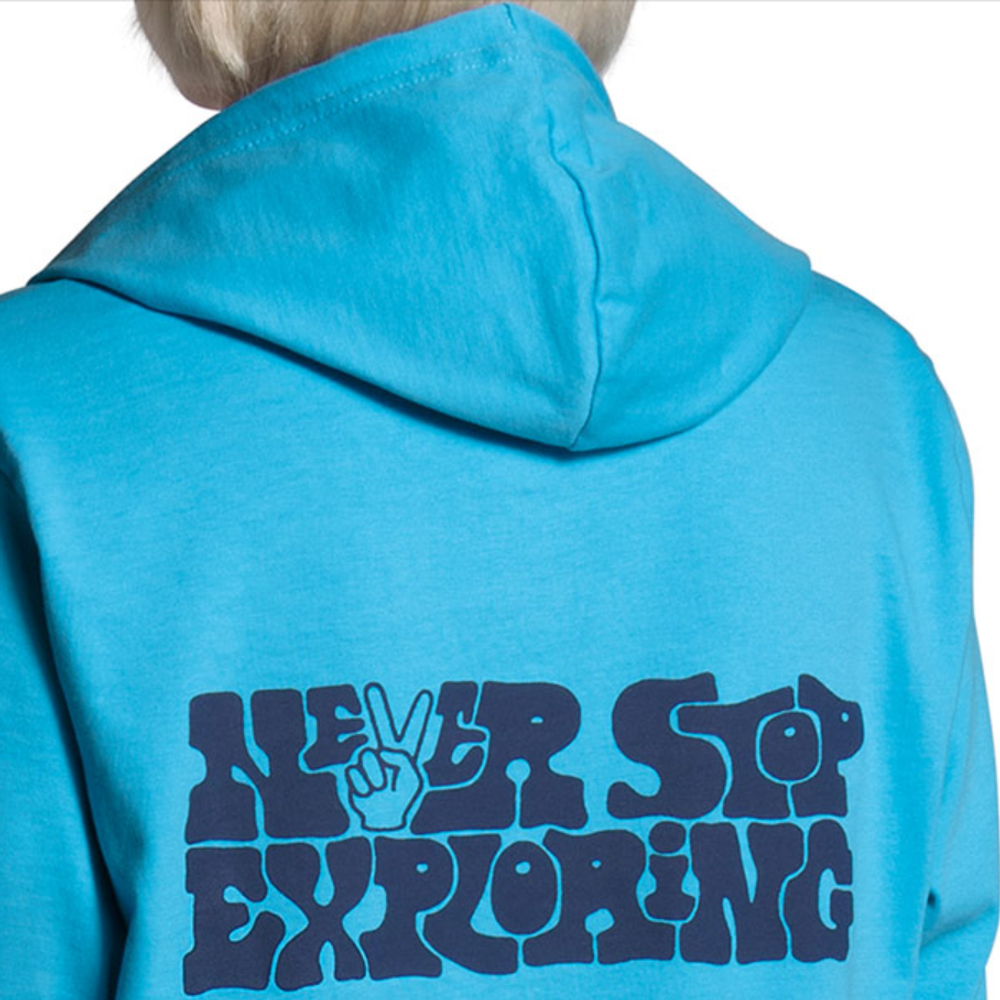 Худи THE NORTH FACE, NF0A4N6Q-L8P