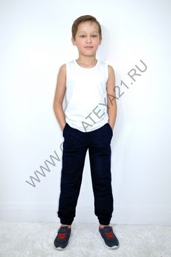 С-2746.1 Брюки подростковые/ с начесом