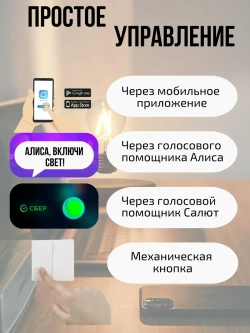 Умный выключатель ZigBee двухклавишный с Алисой