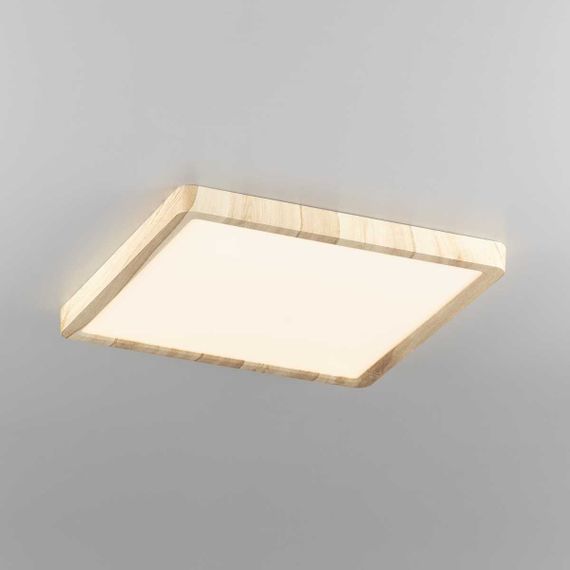 Светильник накладной Citilux Бейсик CL738K242V