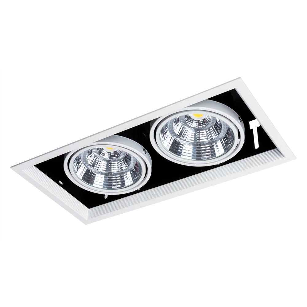 Встраиваемый светильник Arte Lamp A8450PL-2WH