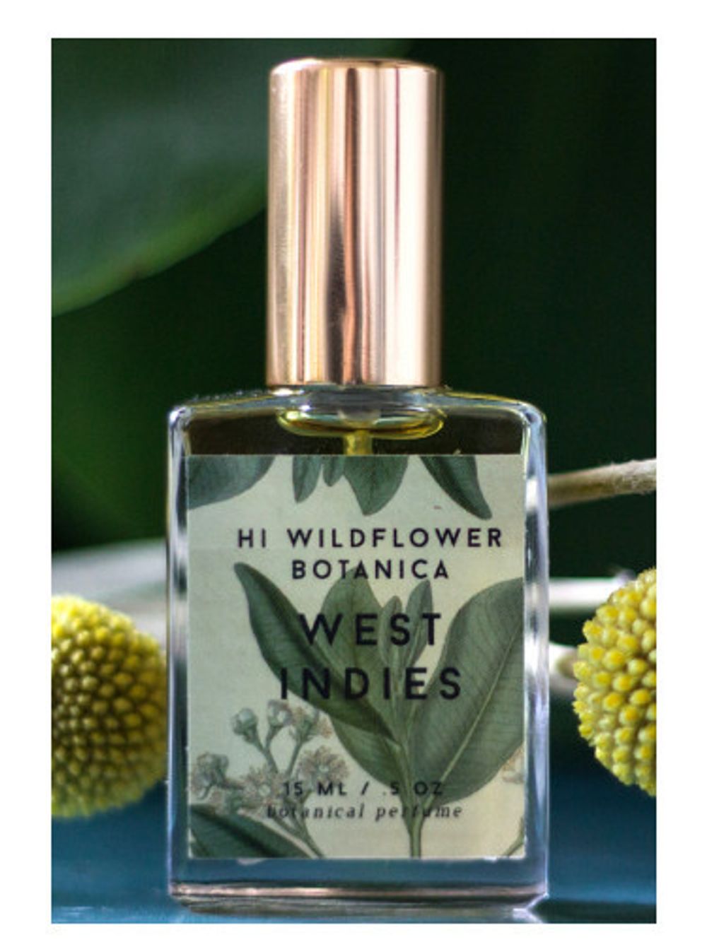 Hi Wildflower Botanica West Indies