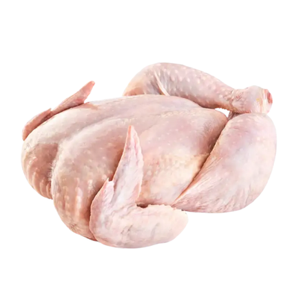 Куры Амель Астана (7000)