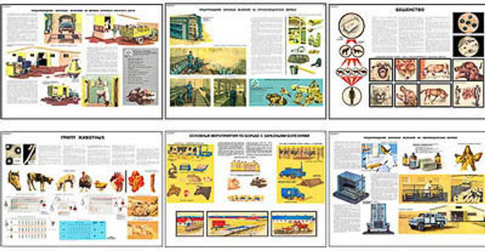 Плакаты ПРОФТЕХ &quot;Заразные болезни сельскохозяйственных животных&quot; (10 пл, винил, 70х100)