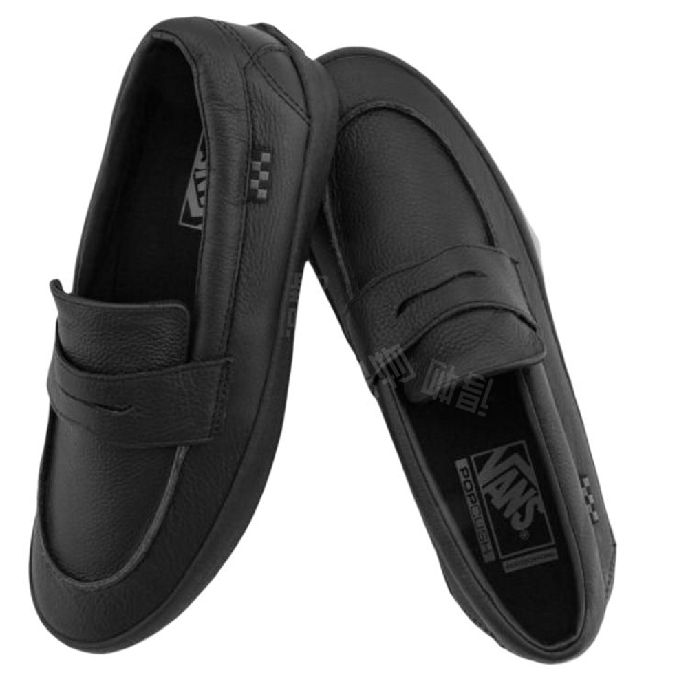 Vans Skate Loafer