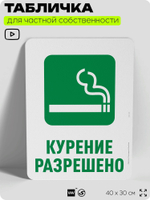 Табличка для частной территории "Курение разрешено", на дом, для участка, для подъезда, организаций и частных территорий, предупреждающая, 40х30 см, Silver Plane x Айдентика Технолоджи