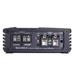 Dynamic State Skif SKA-250.2 2-канальный усилитель