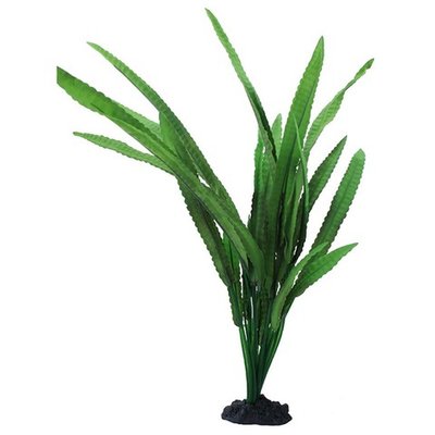Prime Растение шелковое "Криптокорина Балансе" 20 см