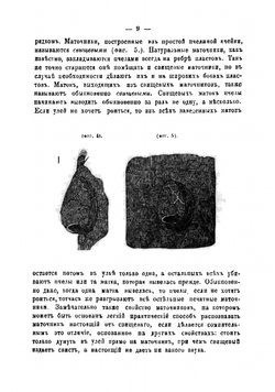 Руководство к пчеловодству | Соколов Н.