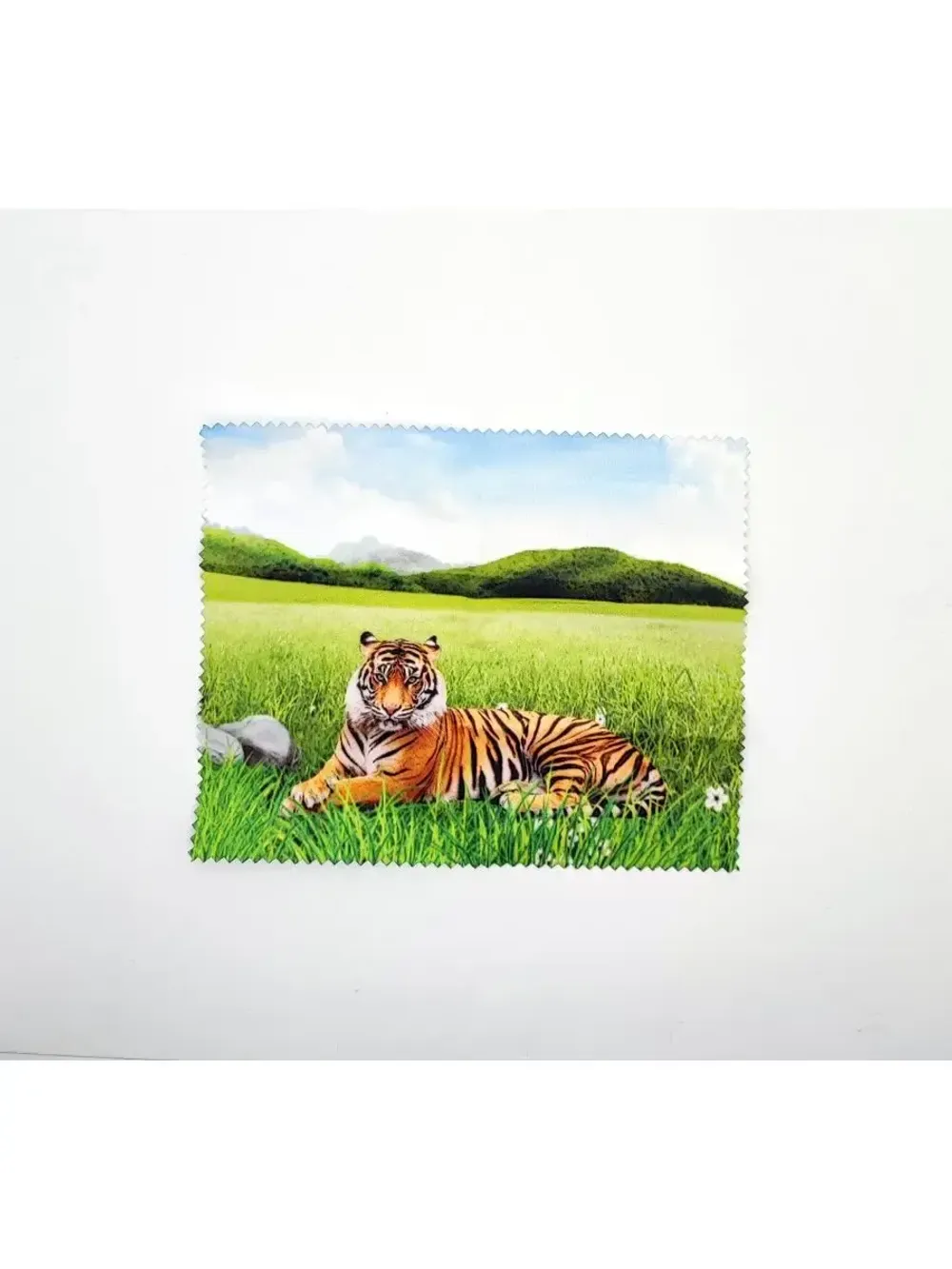 Футляр для очков/чехол для очков/очечник