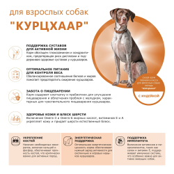 Корм сухой для взрослых собак породы Курцхаар, премиум полнорационный комплекс, с индейкой, 12 кг, QUATTRO