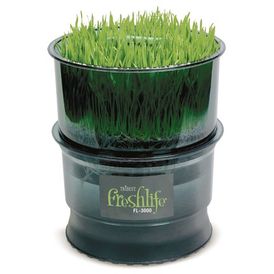 Проращиватель автоматический FreshLife 3000 (Tribest)