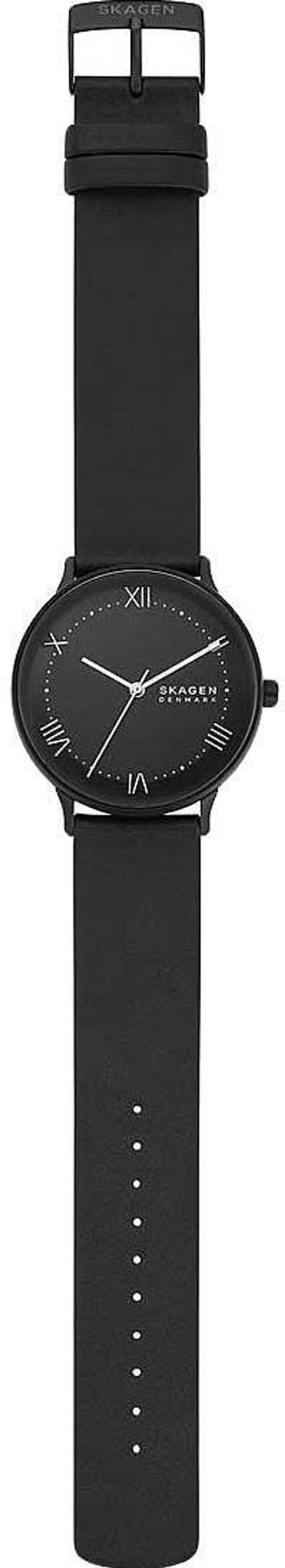 Мужские наручные часы Skagen SKW6623