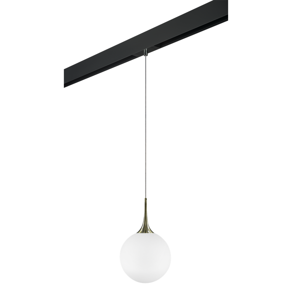 Трековый светильник Lightstar Globo PRO813031