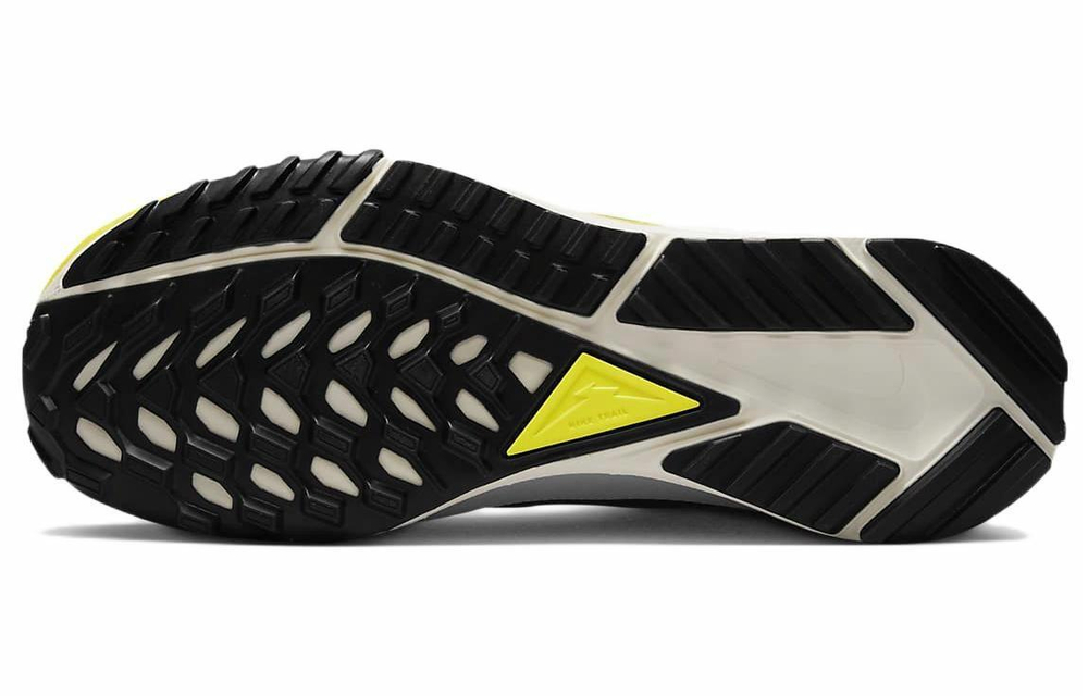 Кроссовки Nike Pegasus Trail 4 Gore-Tex