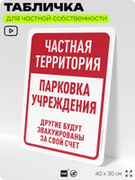 Табличка для частной территории "Частная территория, парковка учреждения", на дом, для участка, организаций, предупреждающая, 40х30 см, Silver Plane x Айдентика Технолоджи