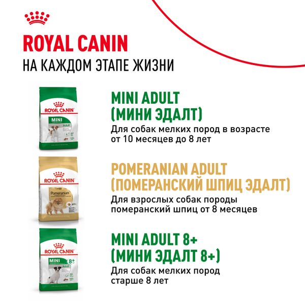 Сухой корм Royal Canin Mini Indoor Adult для взрослых собак мелких размеров, живущих в помещении
