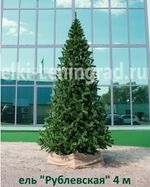 Большая елка «Рублевская» (пвх) 6,5 м