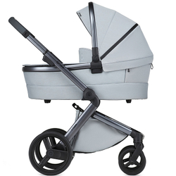 Детская коляска Anex l/type 2 в 1 с аксессуарами frost