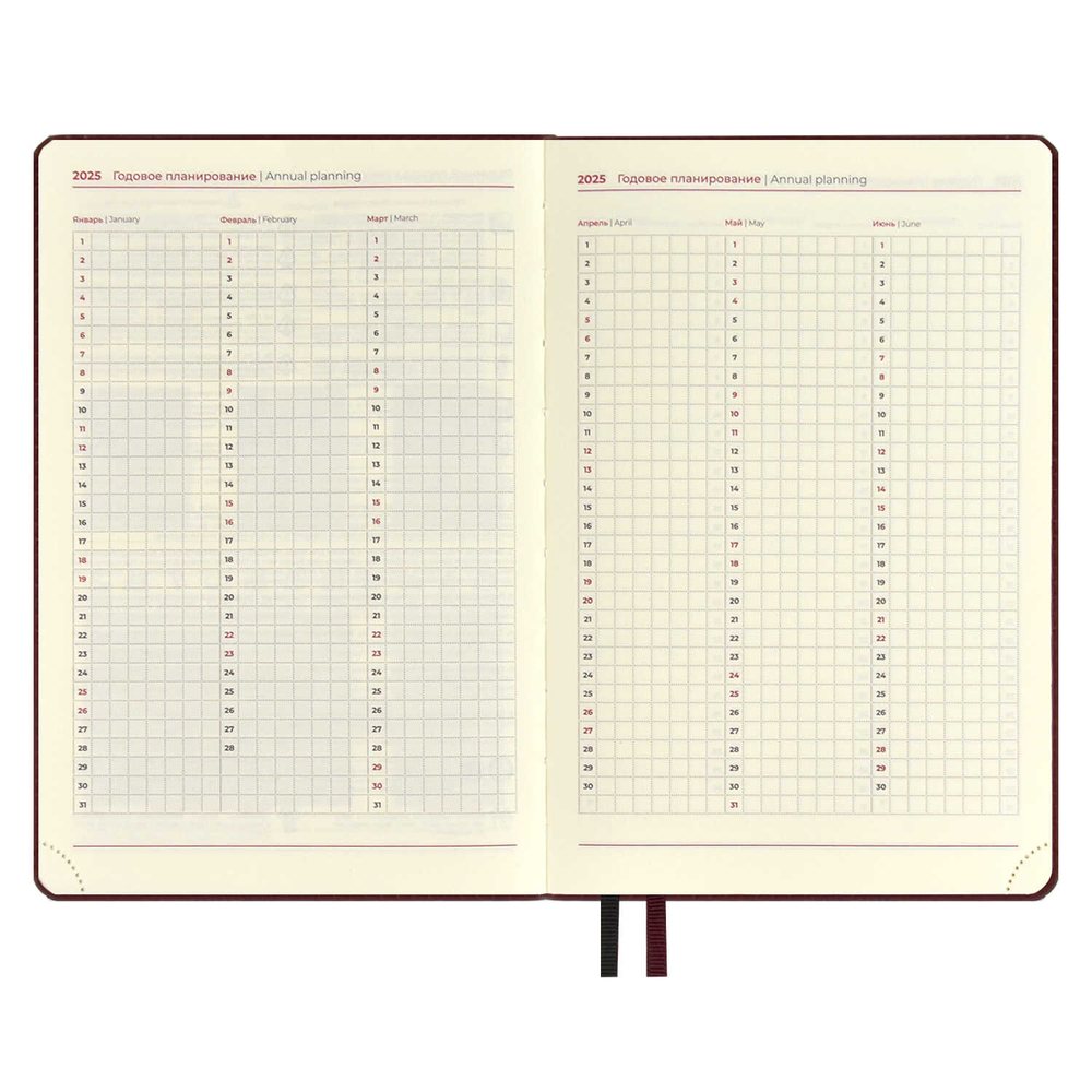 Ежедневник датированный 2025 ESCALADA, А5, 176 л.,