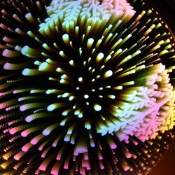 Светодиодная новогодняя фигура ЭРА ENGDS-14 Новогодний лес 6 LED | Фигуры