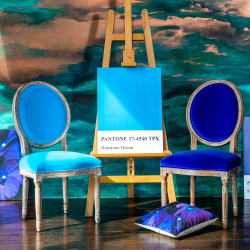 Стул Луи - Лазурный берег бархат лесной орех Объект мечты