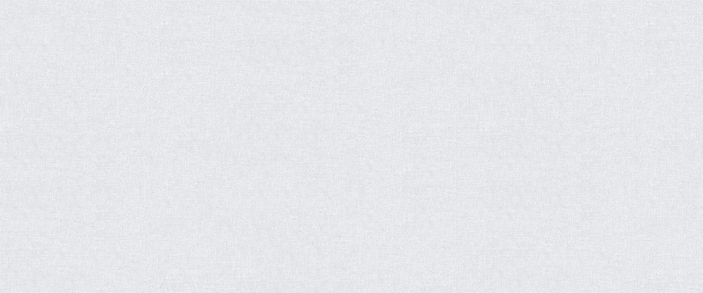 "ROSE" 1,06 м 98847 Canvas