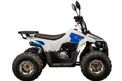 Yacota 110 Raposa 7" 2WD детский квадроцикл с двигателем 110 куб/см