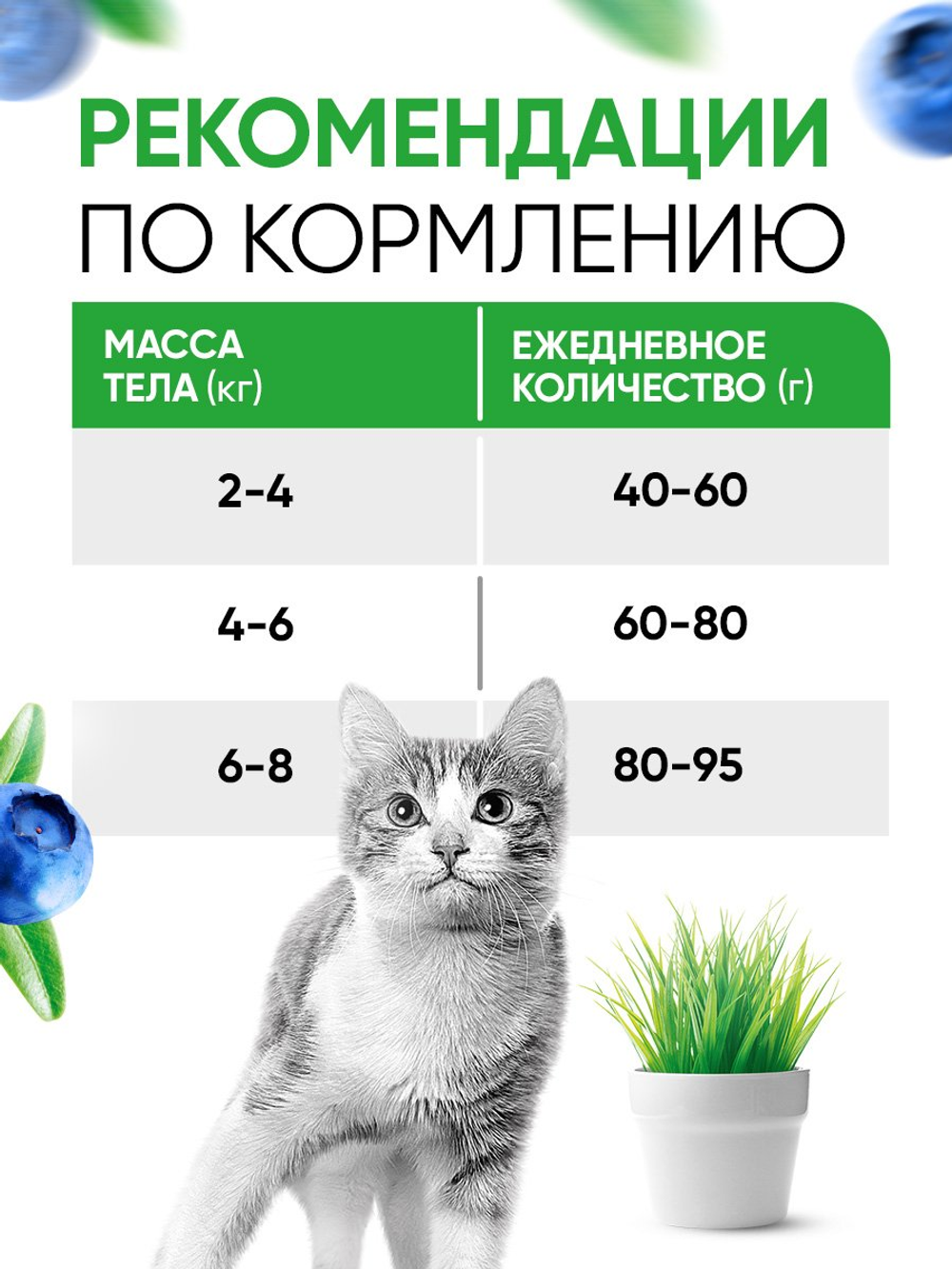 Сухой полнорационный корм для взрослых кошек с ягненком DELICANA 1,5кг