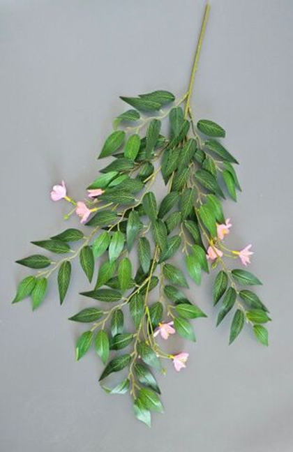 Рускус цветущий / Арт 1222