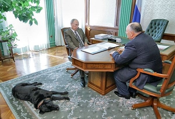 Сильные мира сего и их собаки
