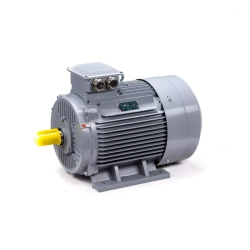 Электродвигатель ESQ PR 355 S4 GST-Б1-S32-IE2 250/1500 IM1001
