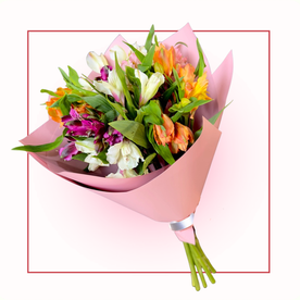 Альстромерии