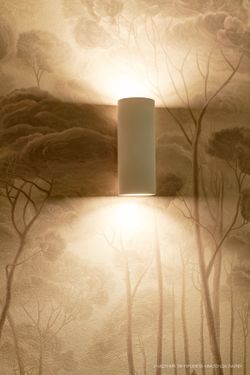 Настенный светильник Maytoni Parma C191-WL-02-W