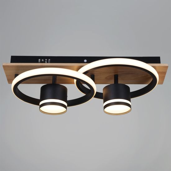 29560-0.3-2+2 BK+WOOD светильник потолочный