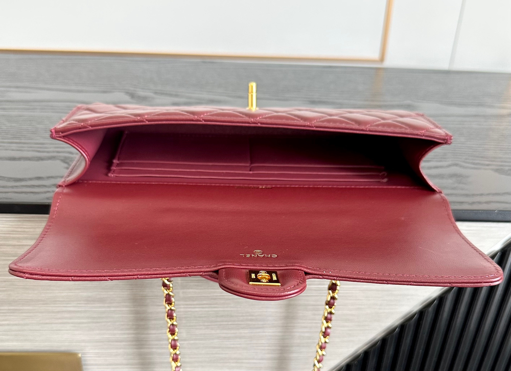 Chanel Bag 25 cm