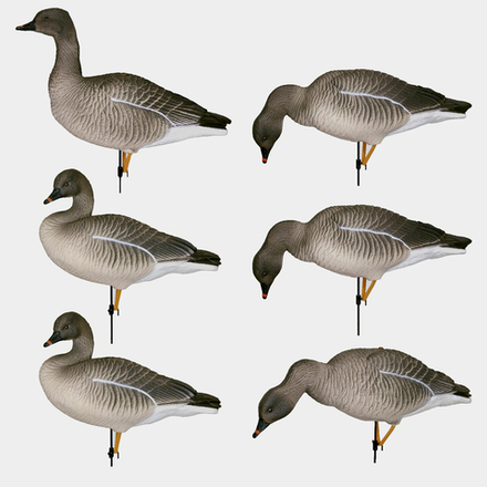 Гусь гуменник Duck Mania "ALFA"