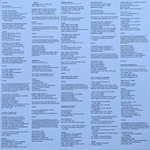 Alice Cooper / Hey Stoopid (Limited Edition)(Coloured Vinyl)(LP)