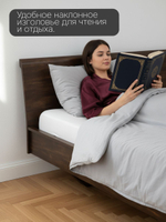 Двуспальная кровать 160х200 Calanthea, массив березы, коричневая Dipriz