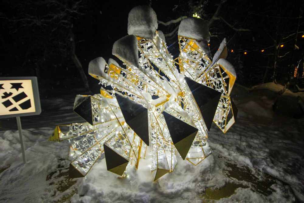 световая фигура "шишка"