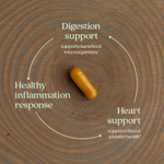 New Chapter, Ginger Force™, 60 вегетарианских капсул