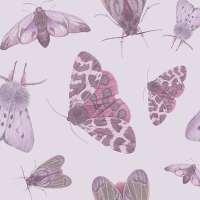 Мотыльки на сиреневом фоне