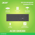 Клавиатура Acer OKR300 черный (ZL.KBDEE.014)
