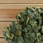 Веник берёзовый «Профессиональный» (обмот. ручка резинкой)_2.jpg