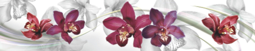 Кухонный фартук Орхидеи 3000х600 мм