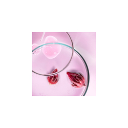 Shiseido Ultimune Power Infusing Concentrate - тонизирующий и защитный концентрат для лица /   75  ml  / GTIN 768614172857