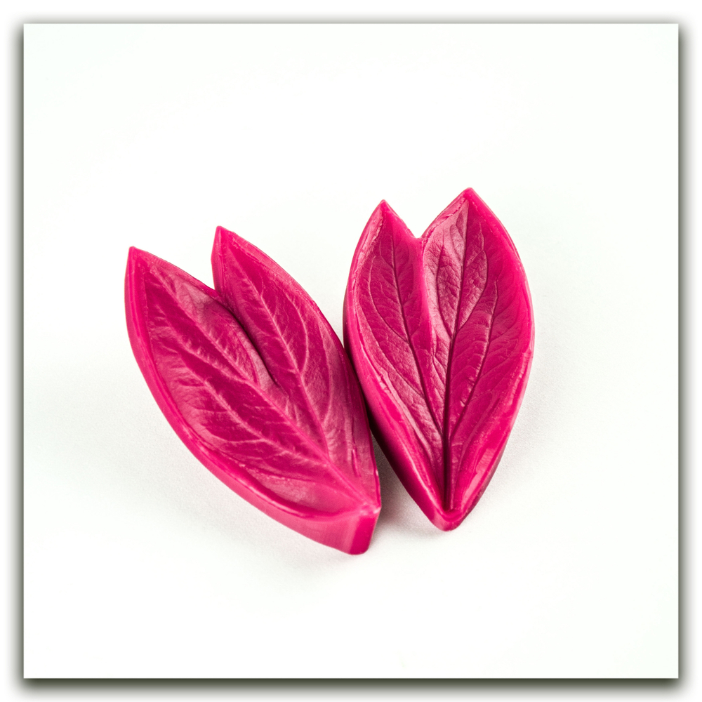 Лист пиона садового двойной