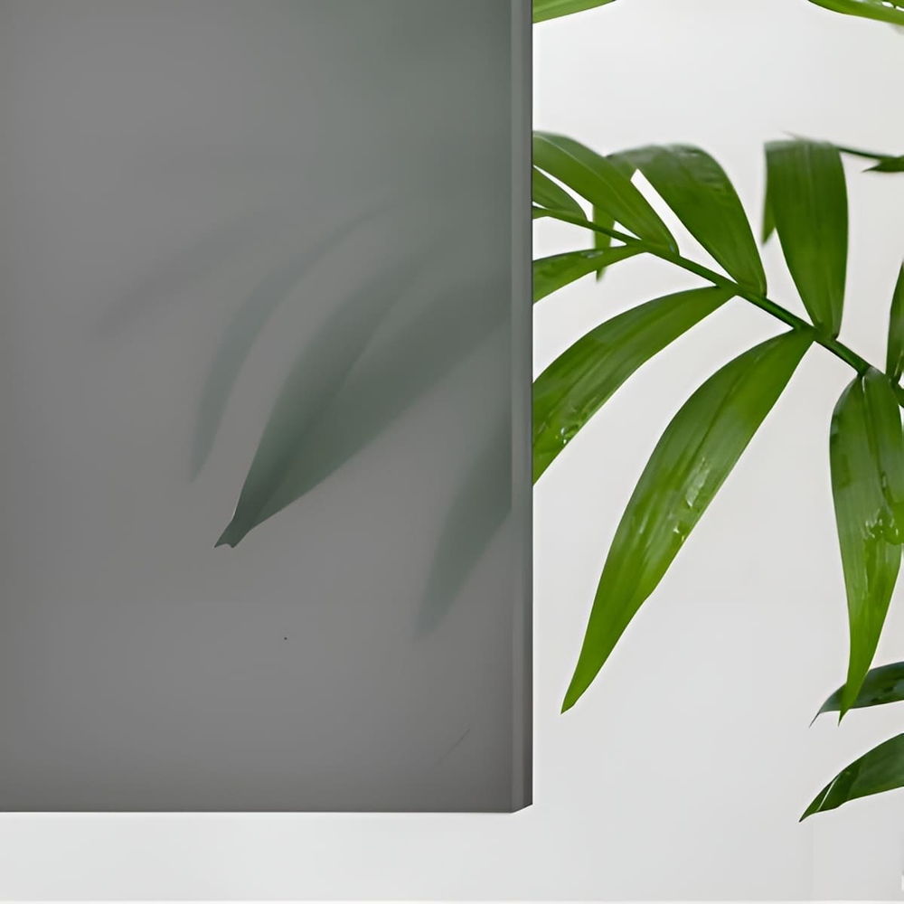 Душевая дверь RGW CL-13 (Тонированное, 1400)